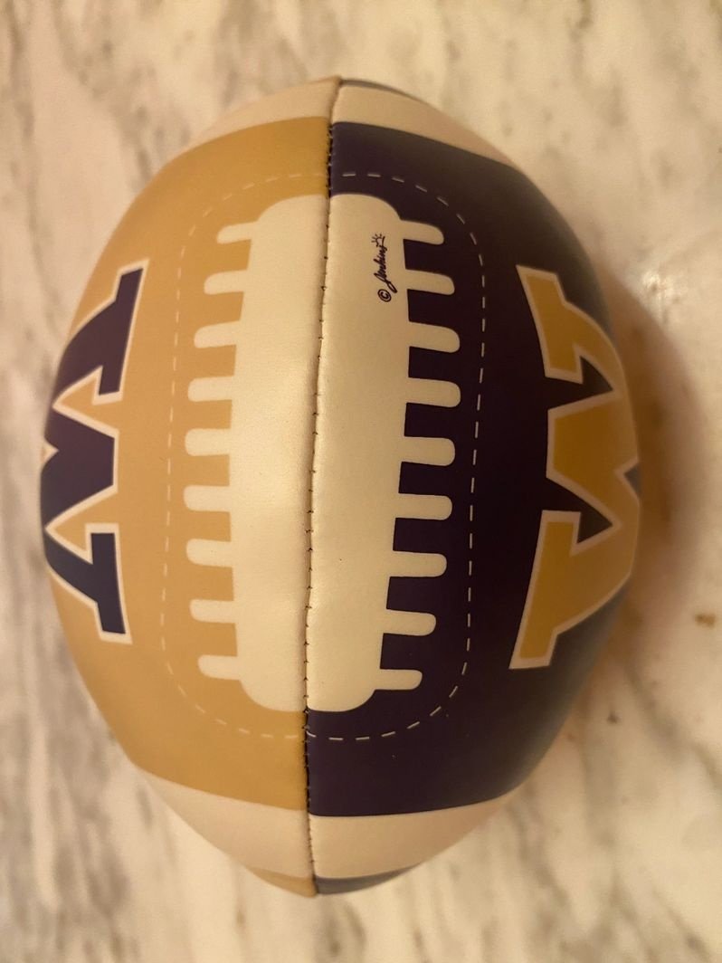 Washington Huskies Mini Football