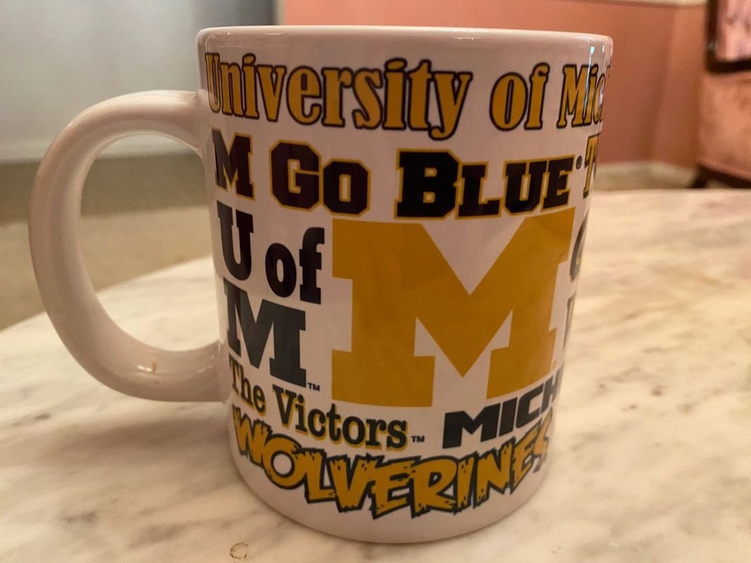 Michigan Wolverines Mug