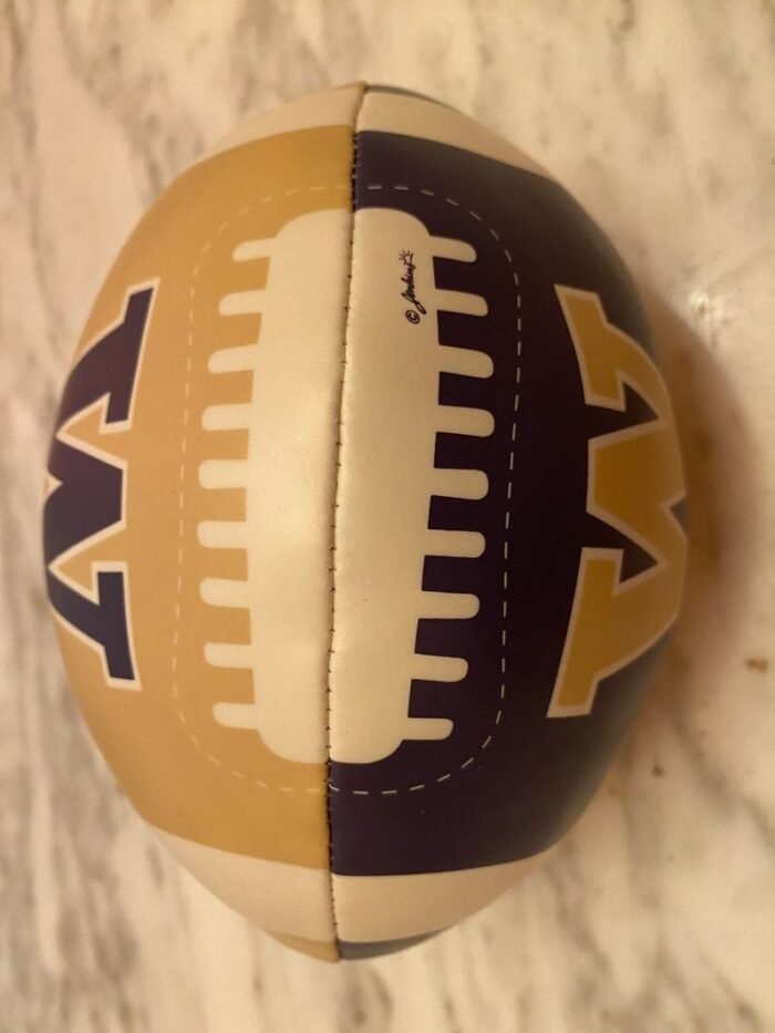 Washington Huskies Custom Football