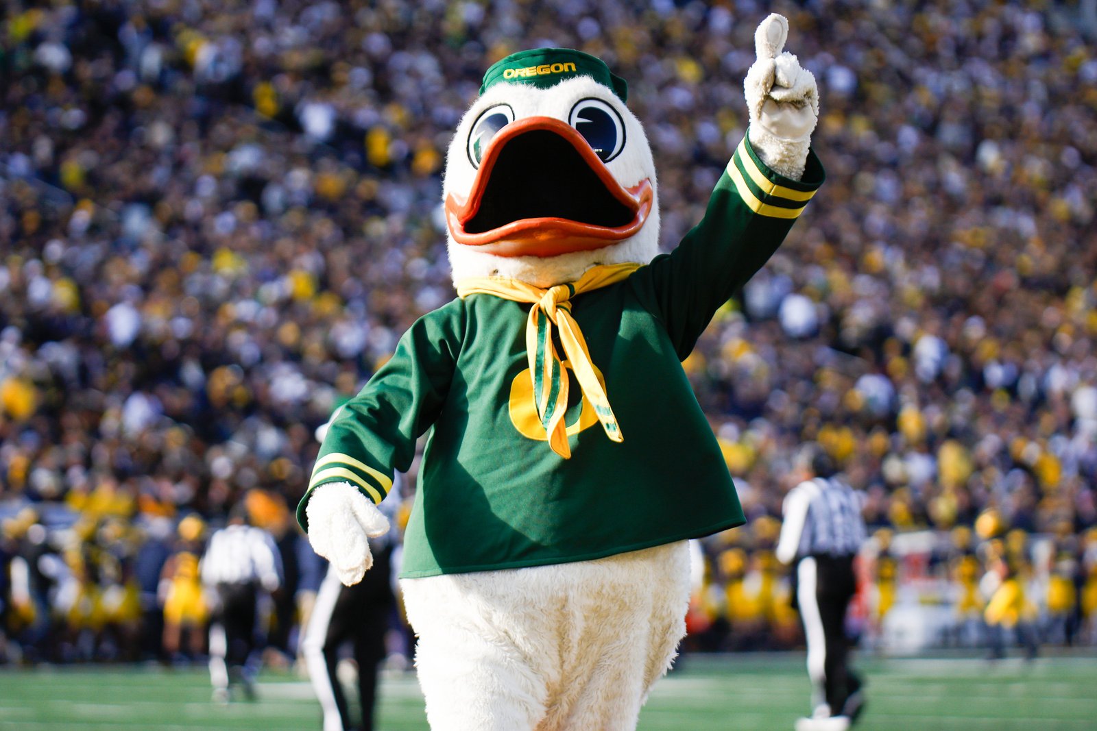 The Oregon Duck